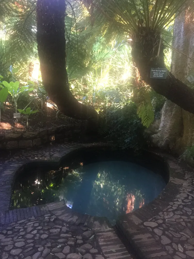 Colonel birds bath kirstenbosch.Dd7cxlfy - Kirstenbosch & Groot Constantia