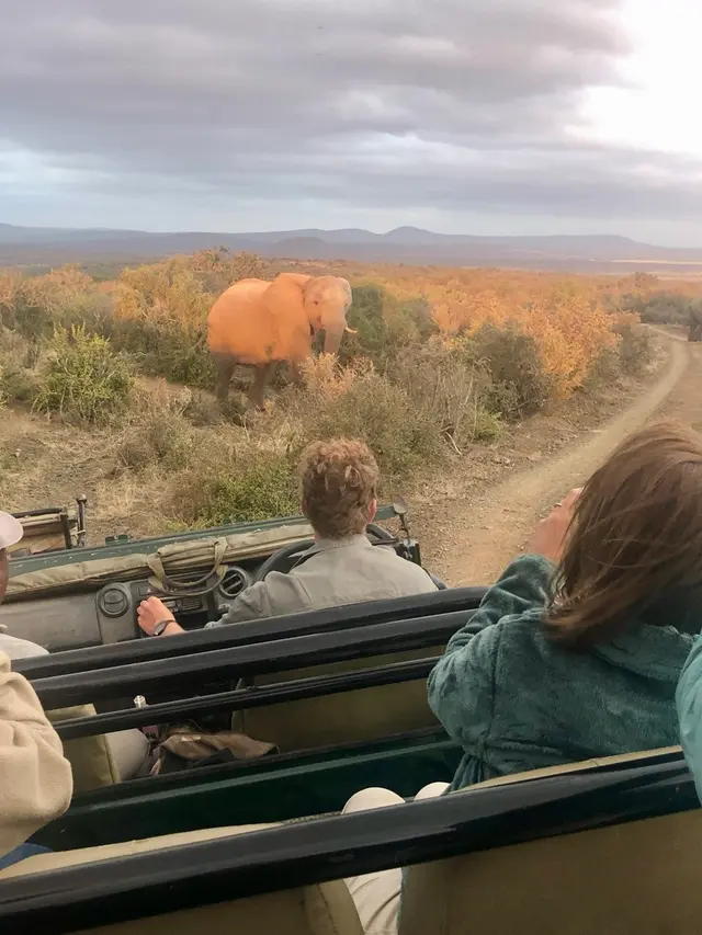 Eastern Cape Safaris