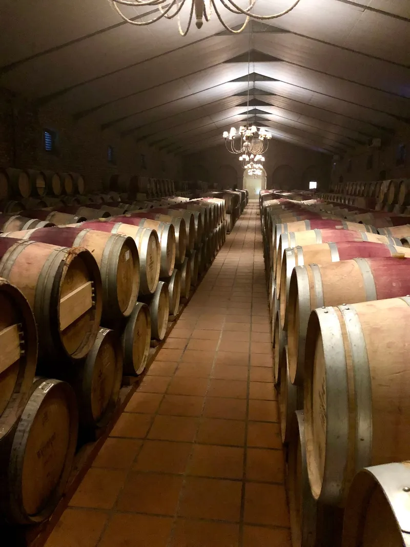 Waterford wines.BLtFgOpm - Cape Winelands Tour