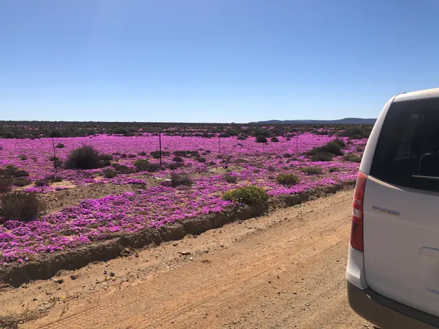 West Coast National Park