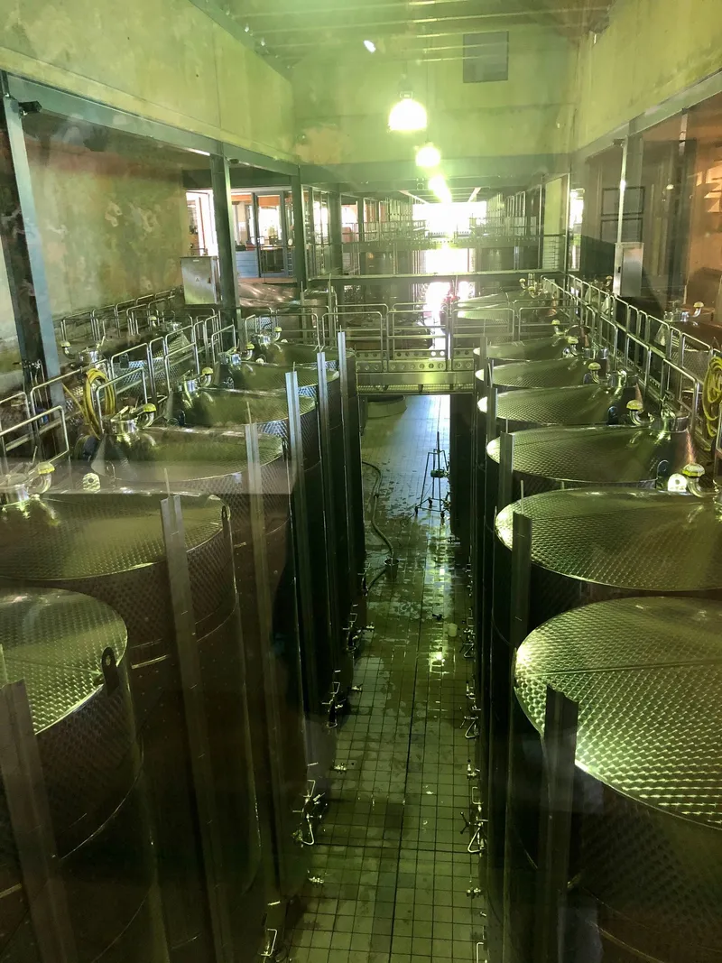 Wine estae winelands.CYl2hJed - Cape Winelands Tour