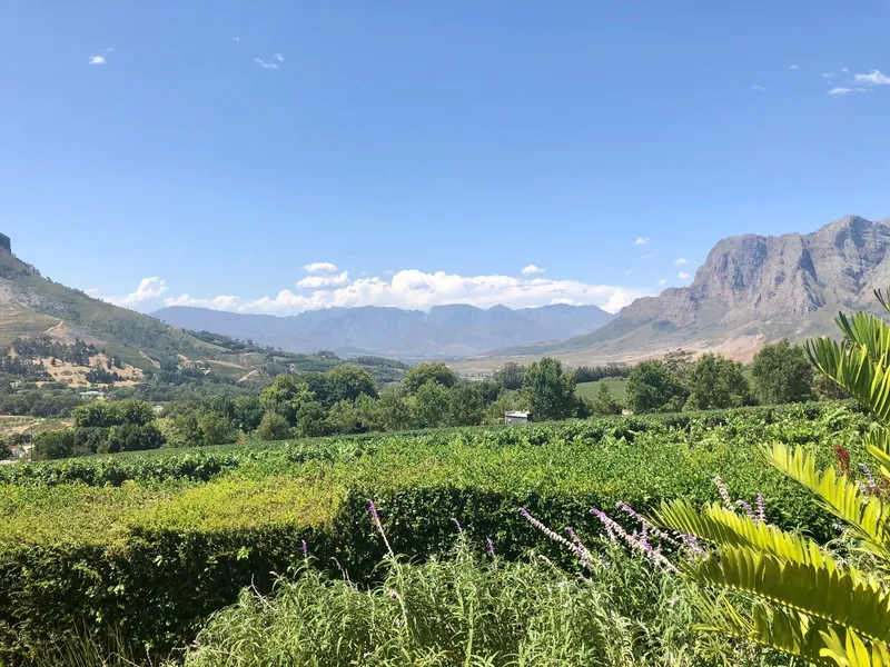 Wine lands 2.CEtoEaHE - Cape Winelands Tour